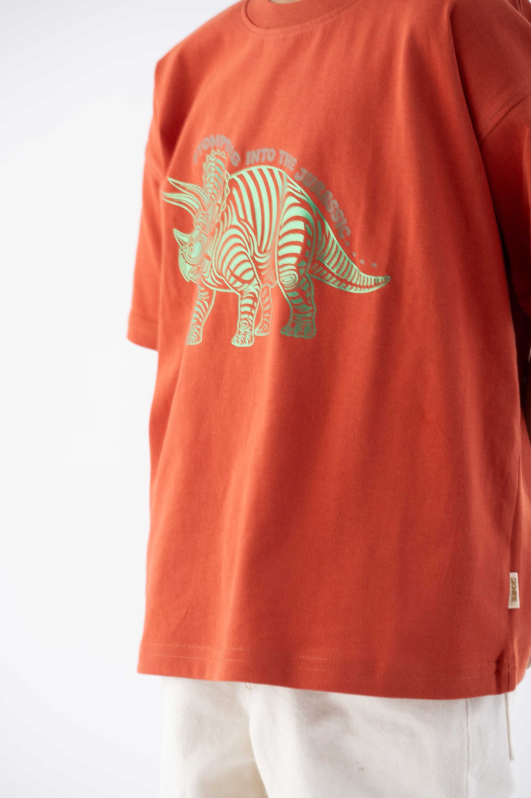 Triceratops Stomp Rust Brown Tee